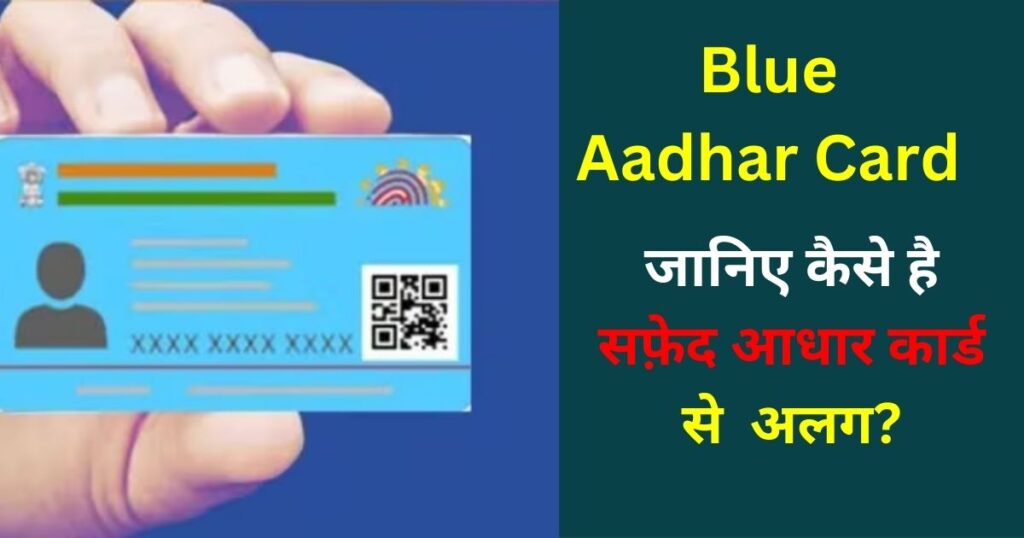 Blue Aadhar Card